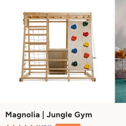 Wooden Kids Jungle Gym Indoor/Outsoor