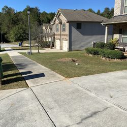 Grass Cutting And Small Trees
