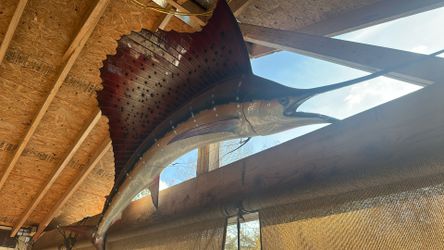 Fiberglass Swordfish