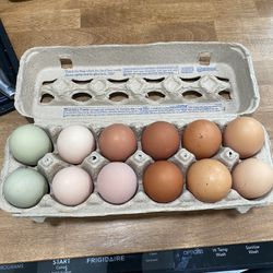 Fresh Eggs From Happy Chickens