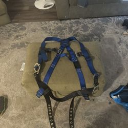Safety Harness