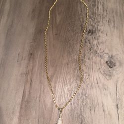 10k Gold Chain and Pendant 