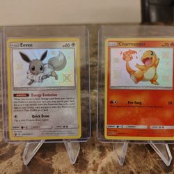 Shiny Eevee and Charmander🔥