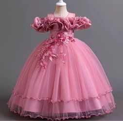 Girls Pink Floral Ball Gown Dress 2-3