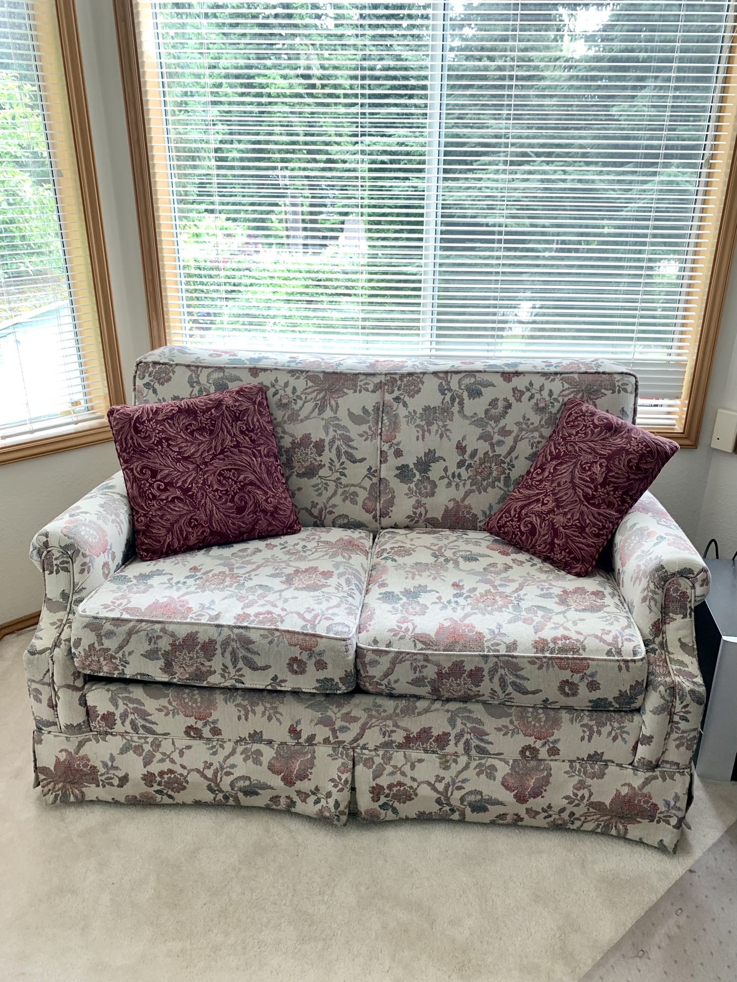 Sleeper Love Seat / Small Couch