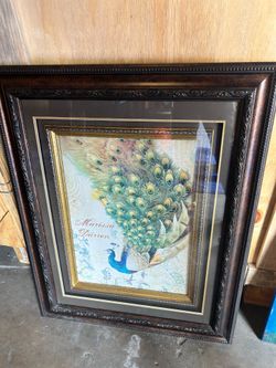Bird paintings