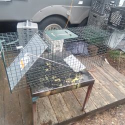 Large Heavy Duty Steel Live Animal Trap, Works Great. $20.00.