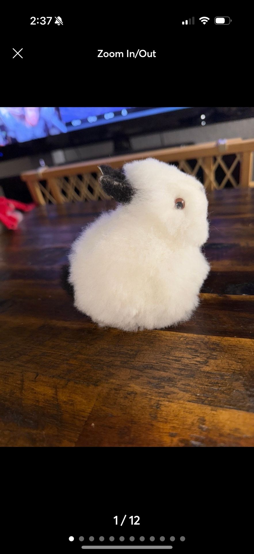 alpaca bunny plushy