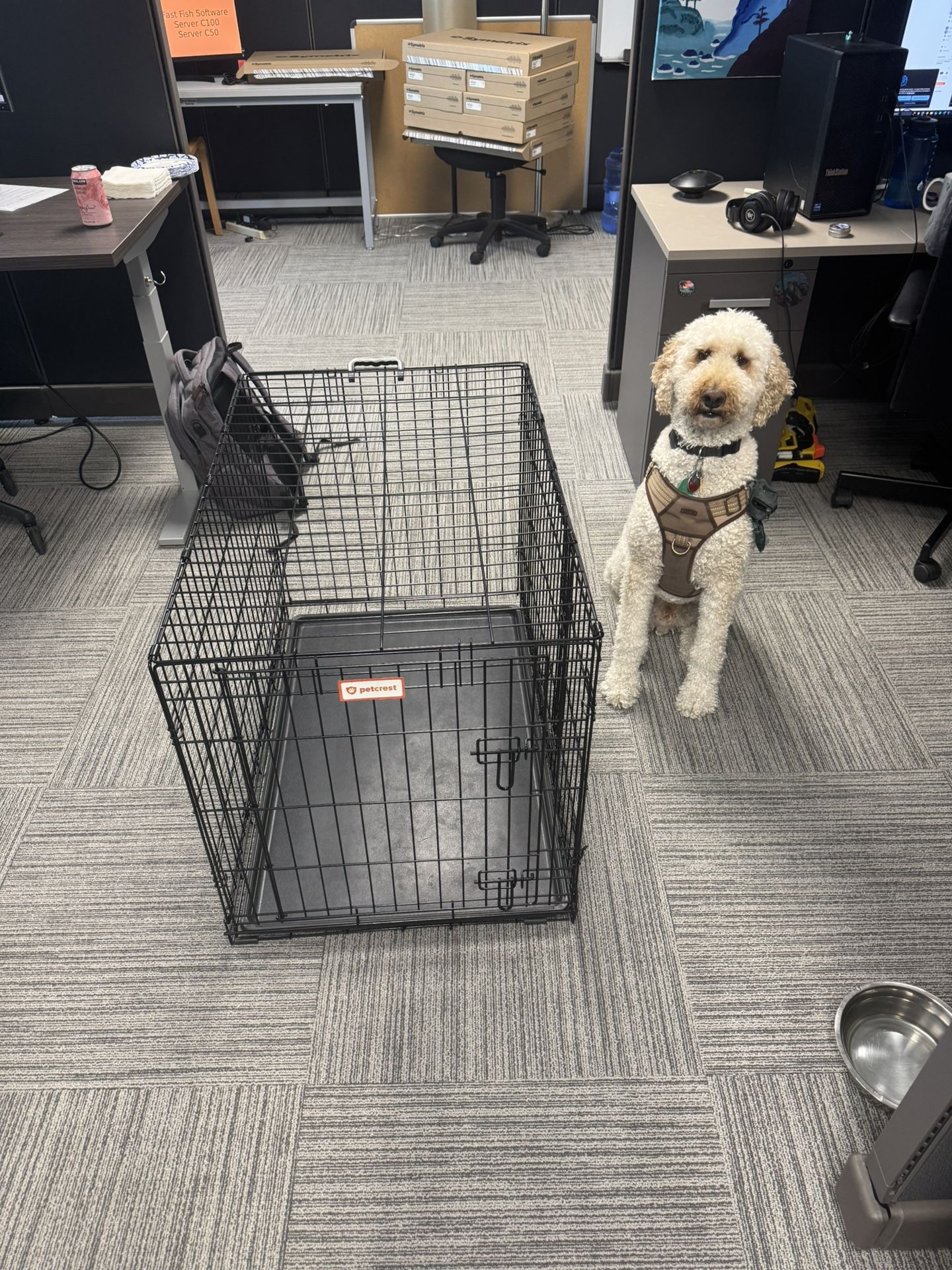 Large Wire Dog Crate