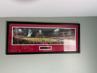 2002 framed photo of angels winning the world series