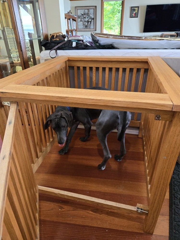 Oak Crate For Big Dogs