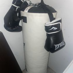 Everlast Elite heavy bag and Everlast boxing gloves.  