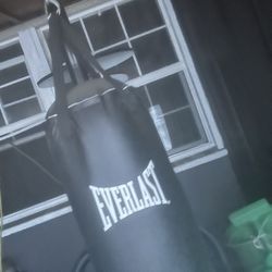 Everlast Heavy Punching Bag + Stand