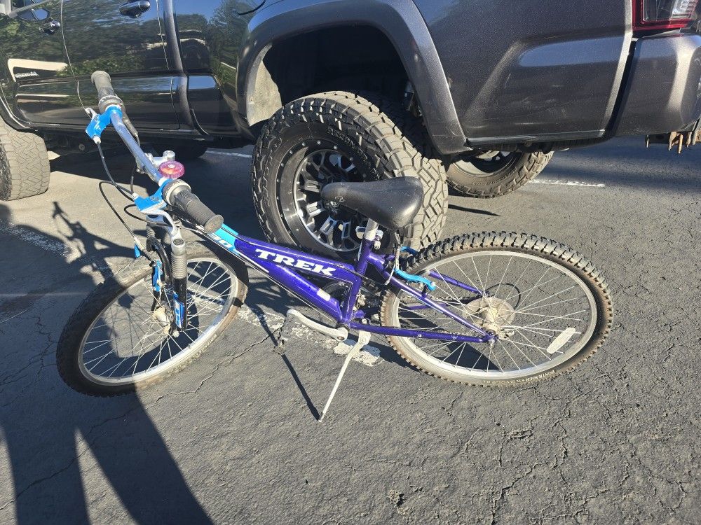 Trek 230