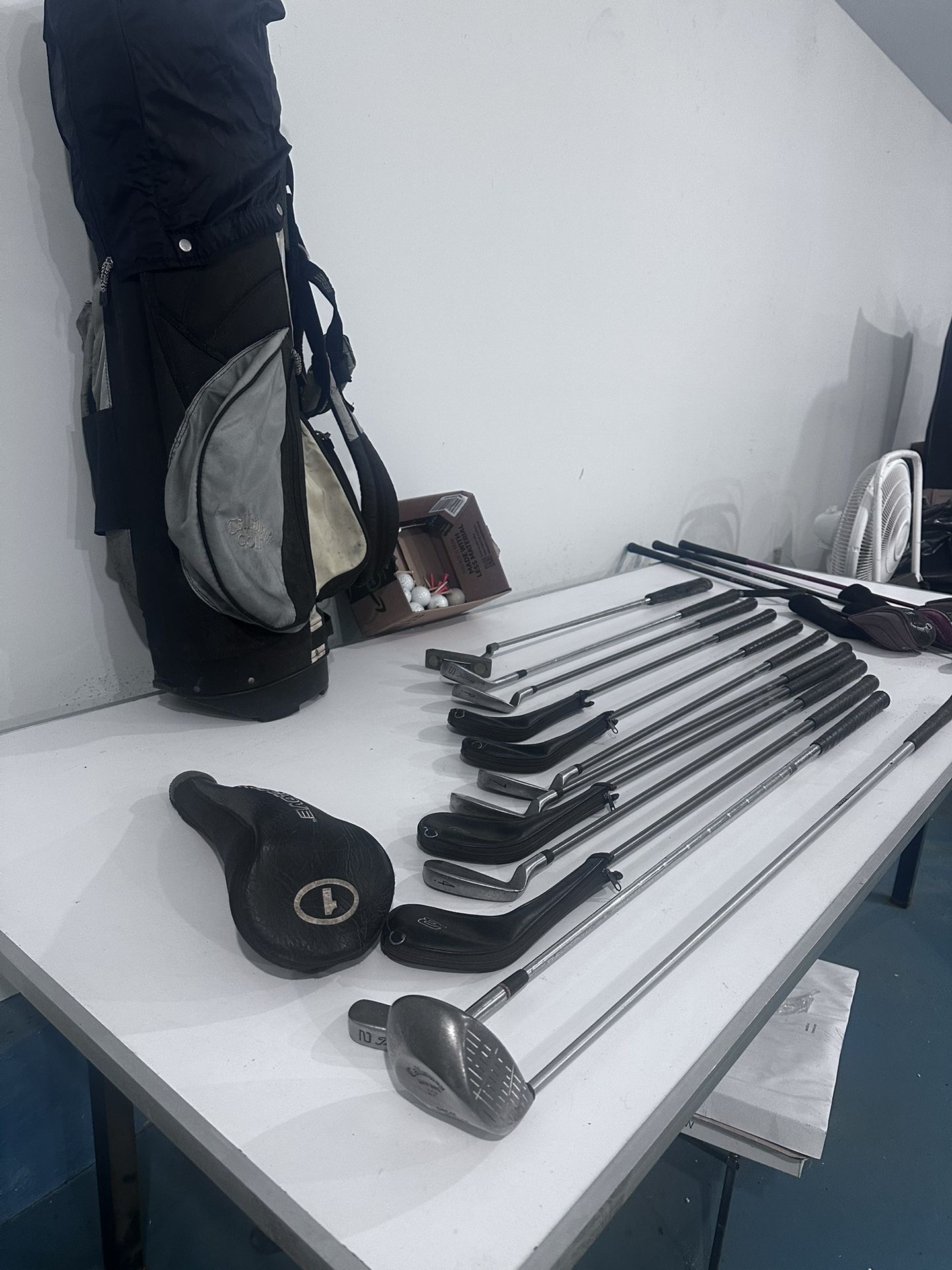 Full Set Of Golf Clubs From Two Iron To Nine Iron With A Pitching Wedge ,, Putter And Sand W