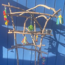 Tall With Arches - Parrot Perch Tree… Perfect For That Smart African Grey Or Sassy Amazon !!a Great Socializer!! 👍🏼