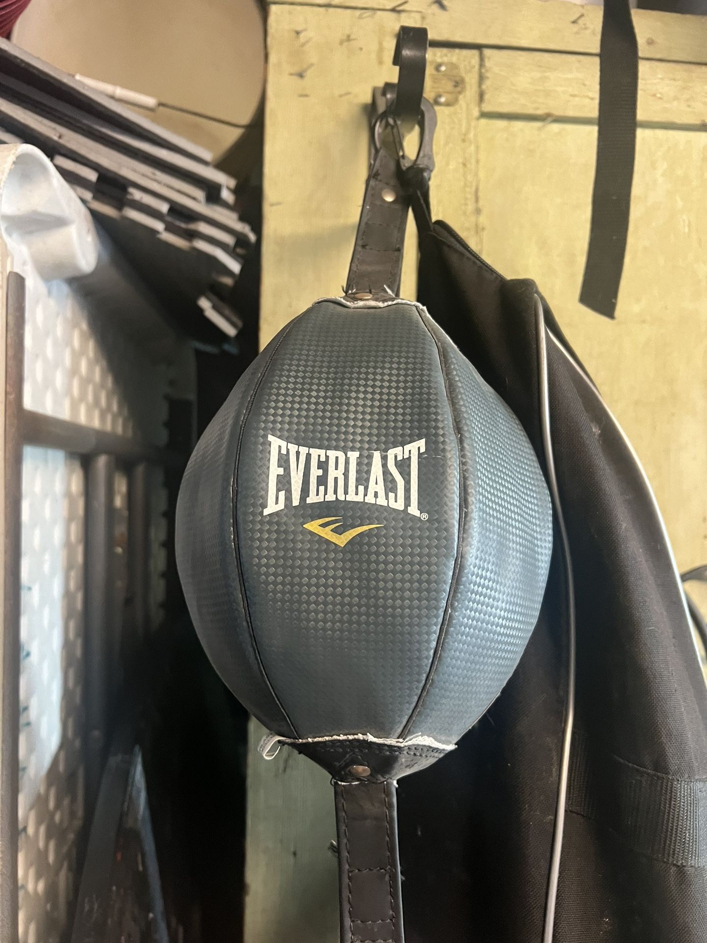 Everlast speed Bag 