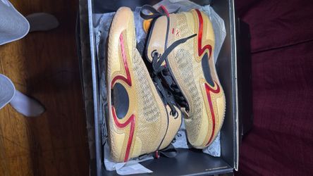 Jordan 36 SE RUI