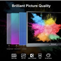 
New FOOWIN Portable Monitor, 15.6inch 1080P Portable Gaming Monitor FHD Travel Monitor for Laptop IPS 178° Screen Eye Care Display with HDMI USB Type