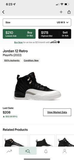 Playoff Jordan 12