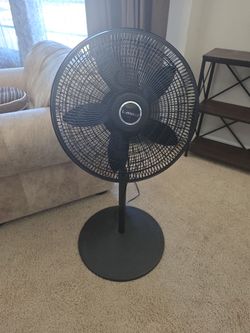 Fan