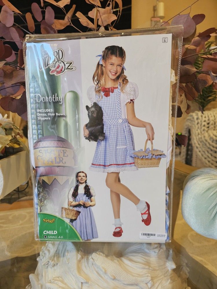 Kids Dorothy halloween costume -wizard of oz