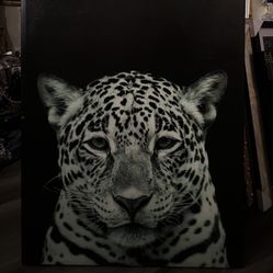 Black And White Paintings