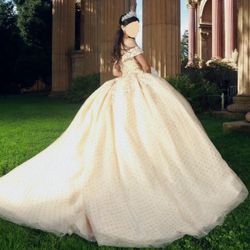 Quince dress + Crinolina