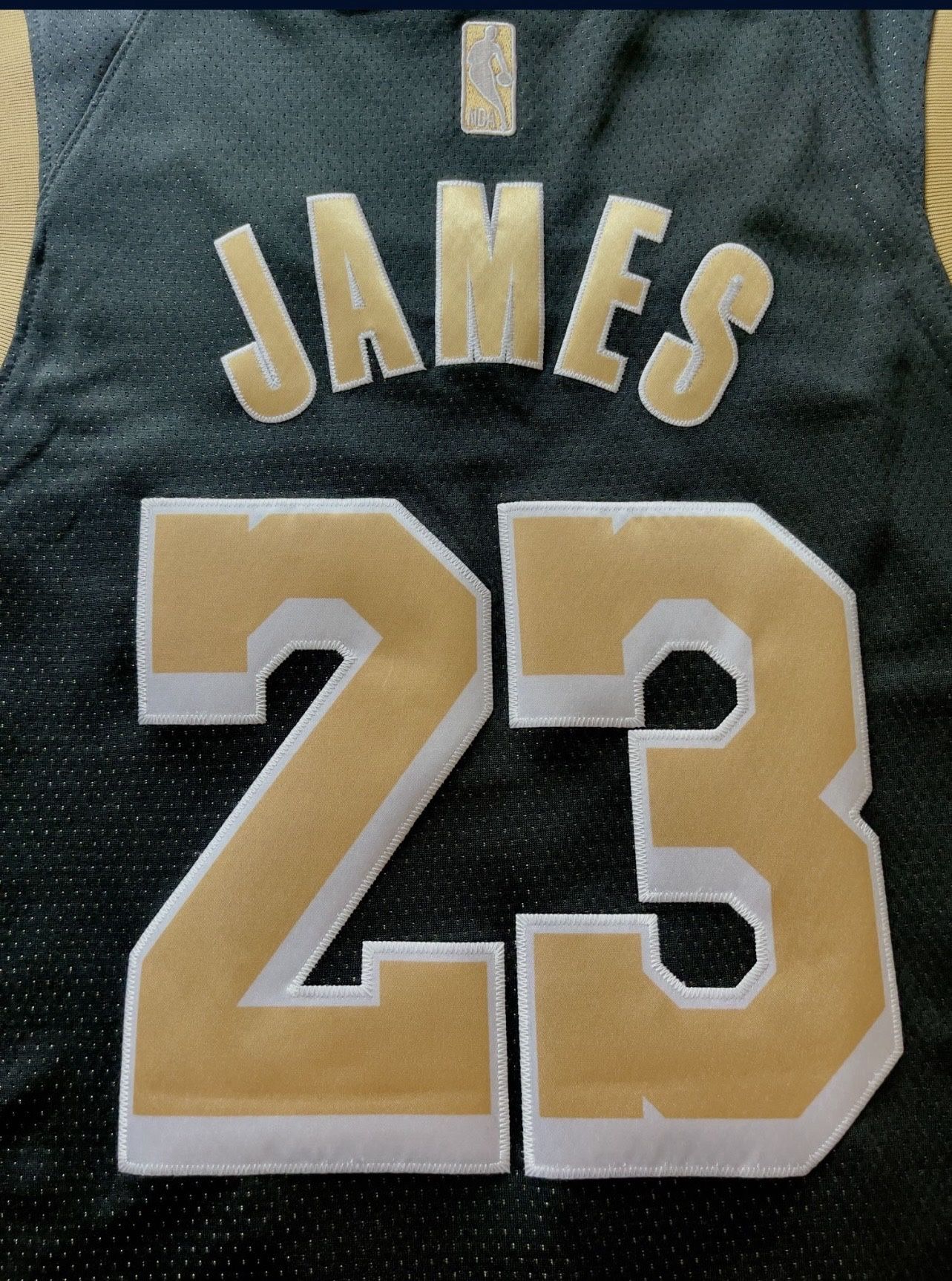 Nike LeBron James Select Series Swingman Jersey 2024