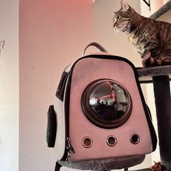 Cat backpack 