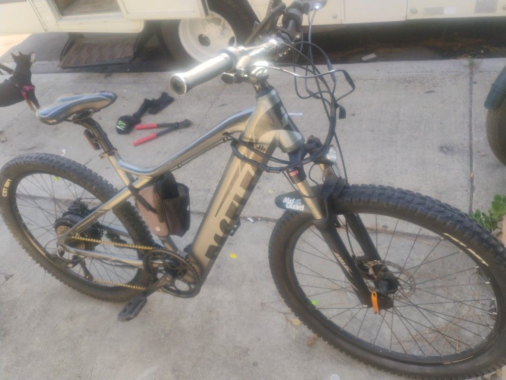 Paselec E Bike Mountain Bike 660 Miles Gold Chain
