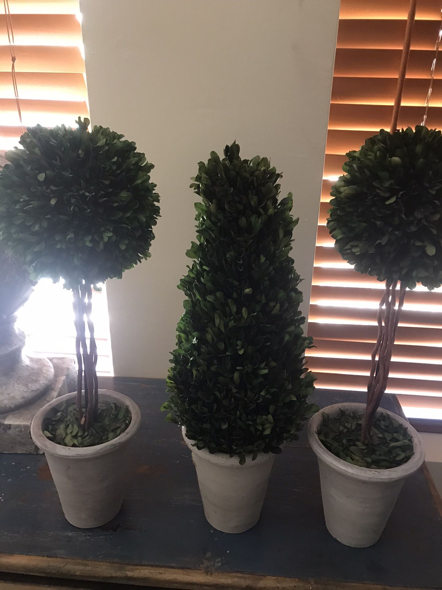 3 Topiary Trees