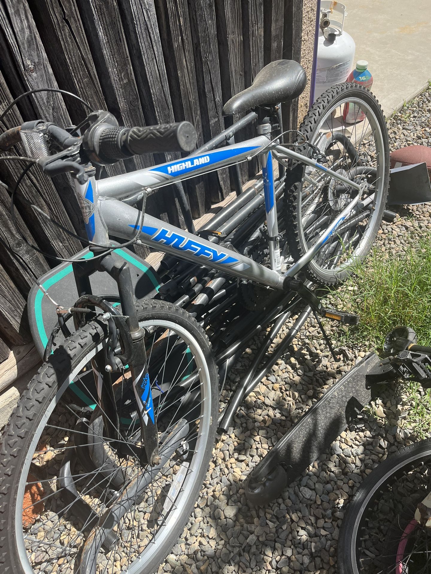 Adult Bike