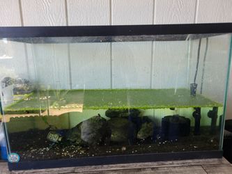 Fish tank