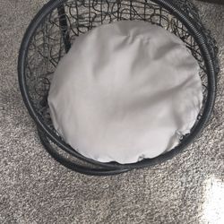 Cat Swing