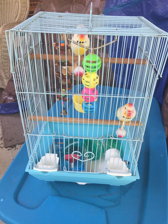 Parakeet Cage And Accessories . 16x10x8