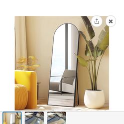 Mirror - Standing Or Wall Mount