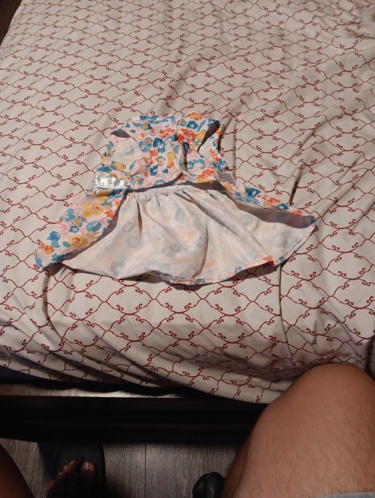 Small Dog Dress