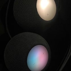 Apple home pod minis
