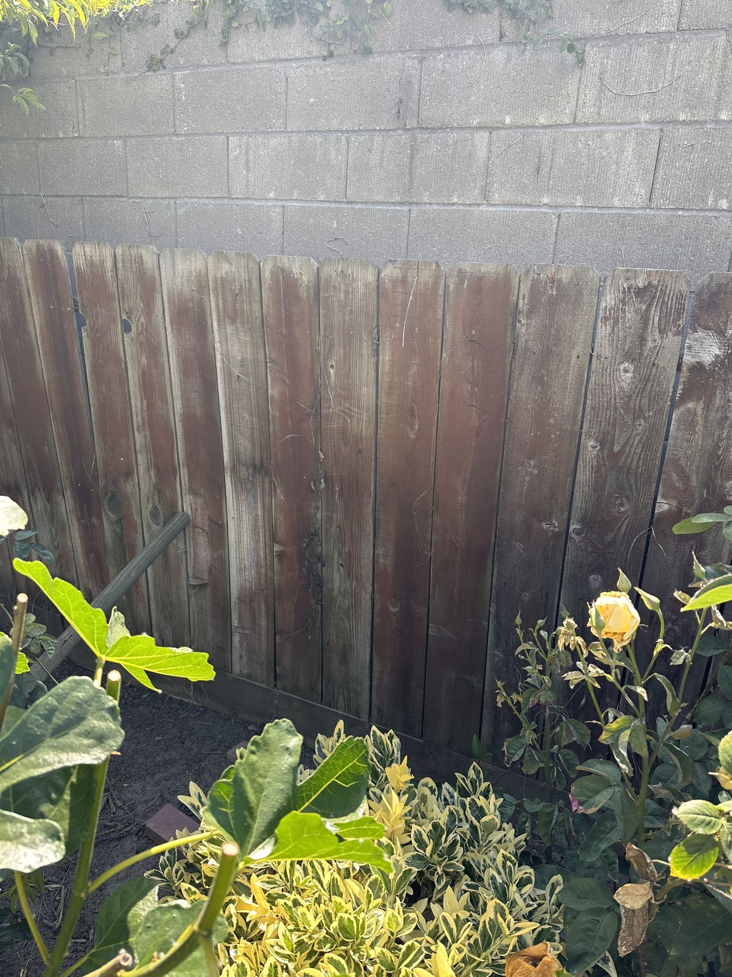 Fence $20 Per 5 Foot Section. 8 Boards Per Section.