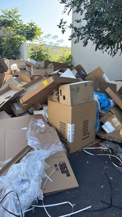 Lots of free cardboard