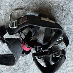 cinturón para árboles  nuevo