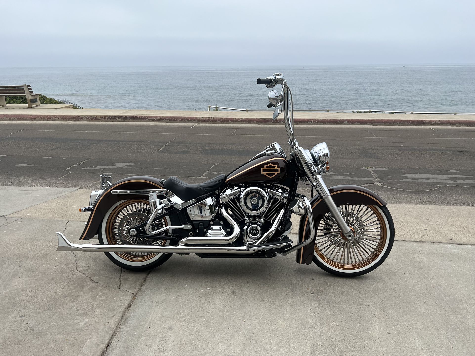2019 Harley Davidson Softail deluxe