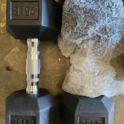25 Pound Dumbbells 