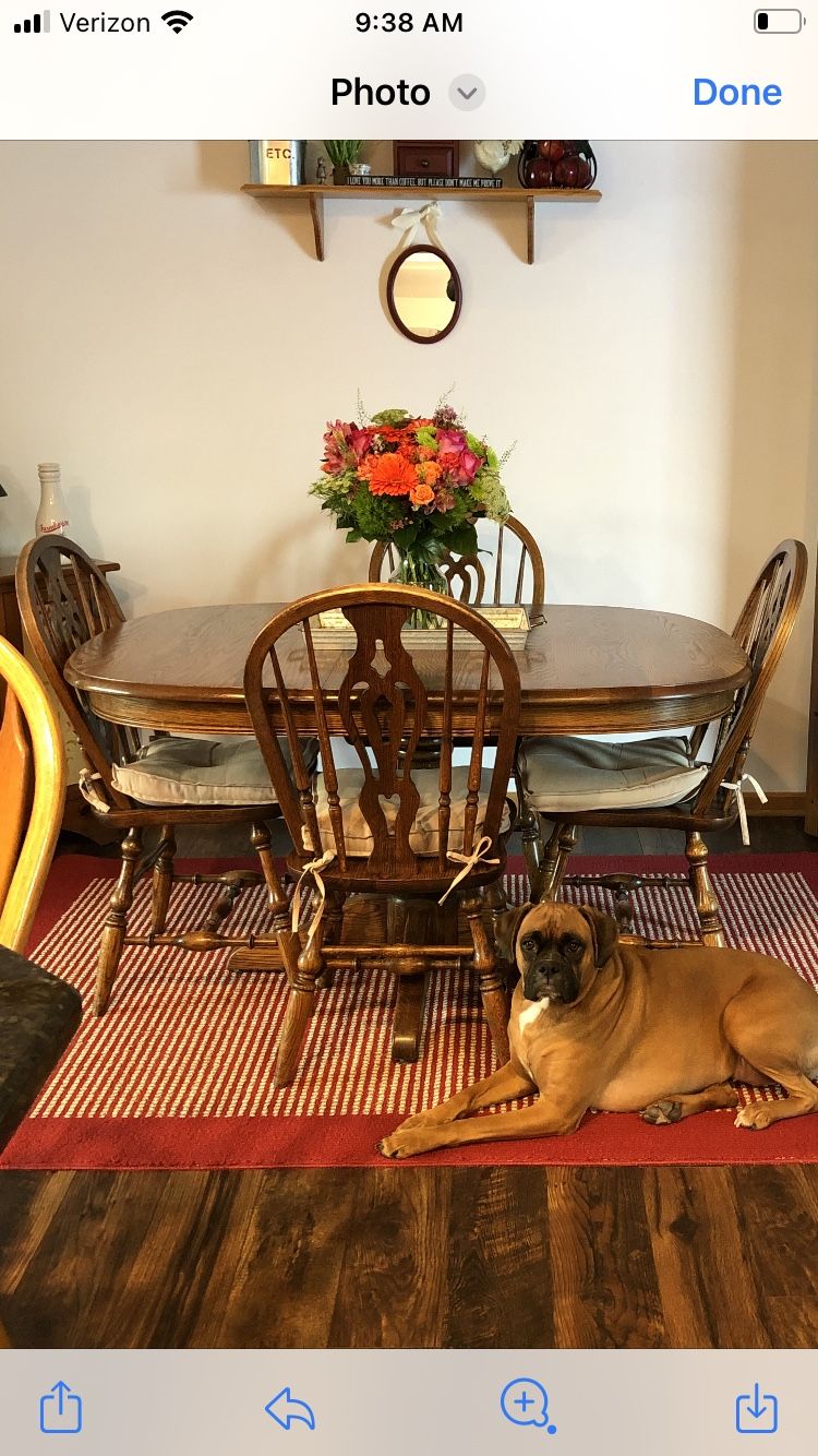 Solid Oak Dining Set, 4 Chairs Included