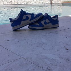 University Blue Dunks