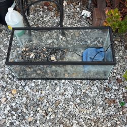 25 gallon fish tank