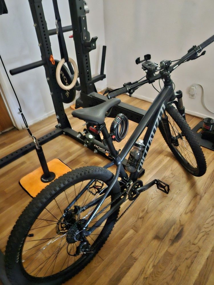 Specialized Mountain Bike