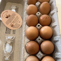 Fresh Eggs