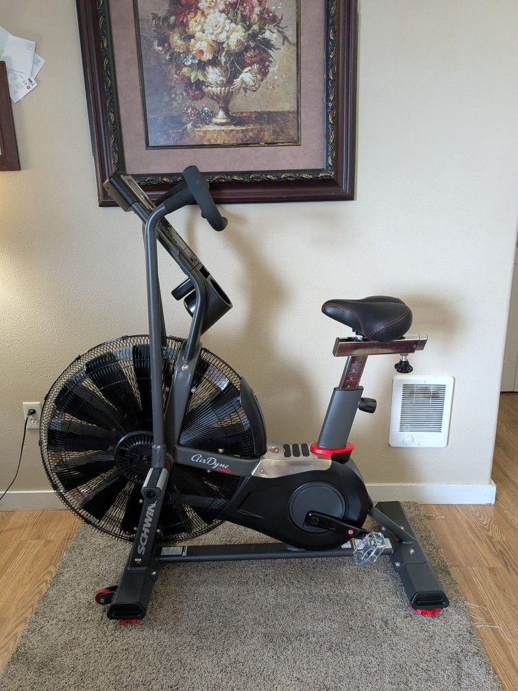 Schwinn Airdyne AD7